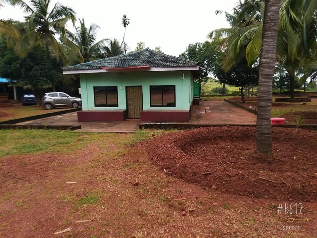 Coconut Tree Resort