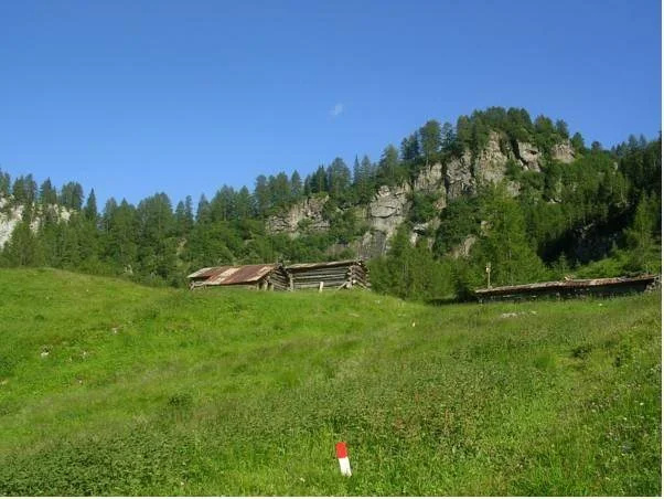 Hotel Roy