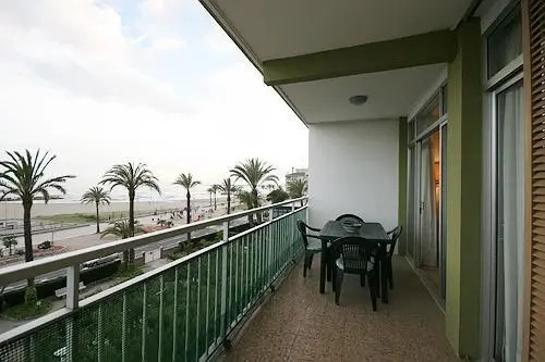 Cunit Palm Beach