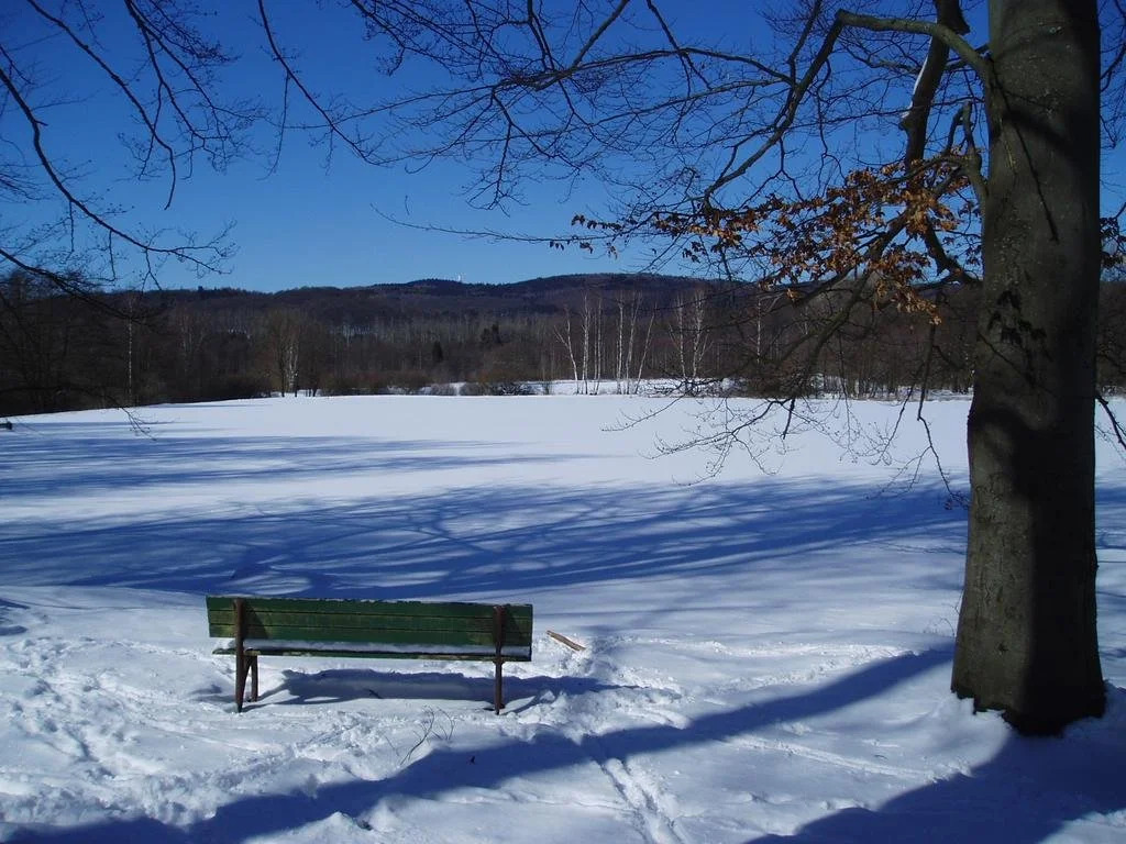 Ferienhotel Waldfrieden