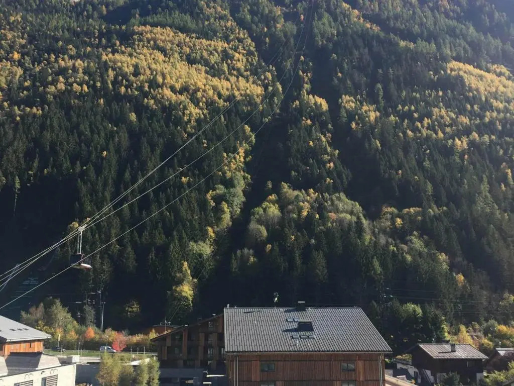 Appartement Chamonix-Mont-Blanc, 2 pièces, 3 personnes - FR-1-517-54