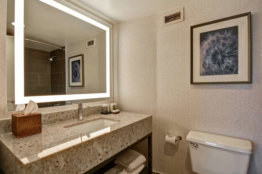 Embassy Suites by Hilton Minneapolis Airport