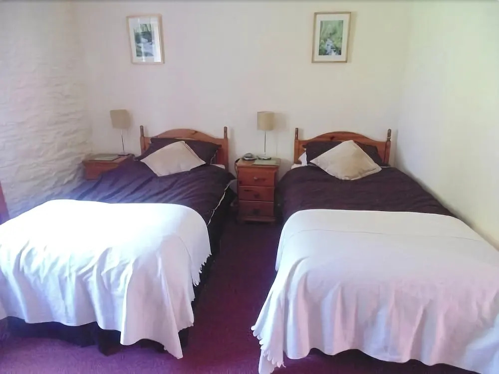 Black Lion Hotel