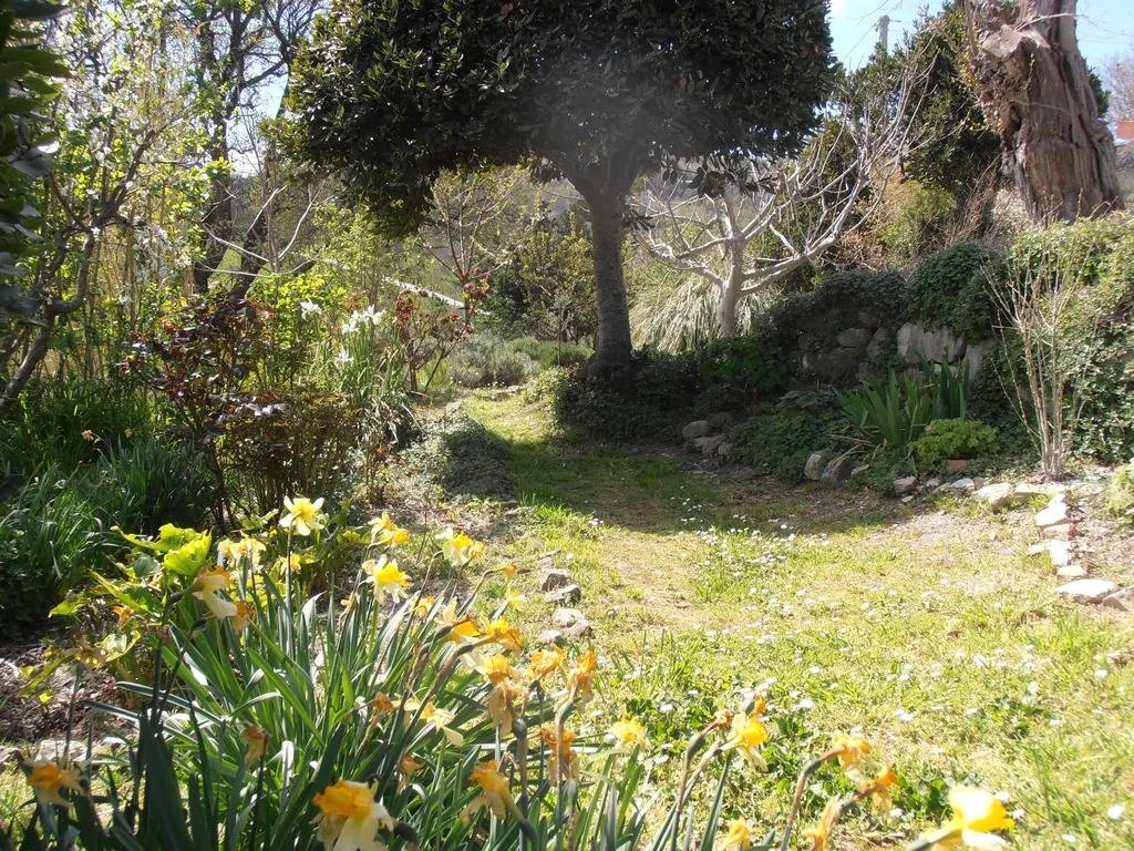 Il Sorger Del Sole