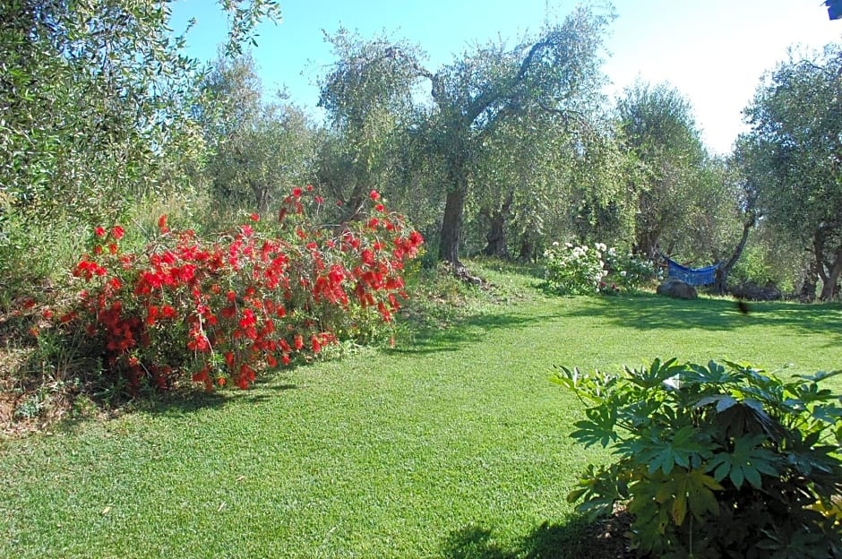 Il Pino