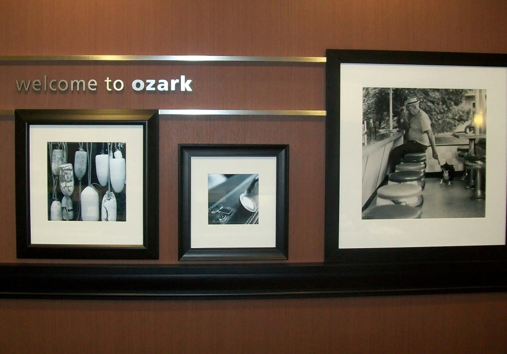 Hampton Inn Ozark