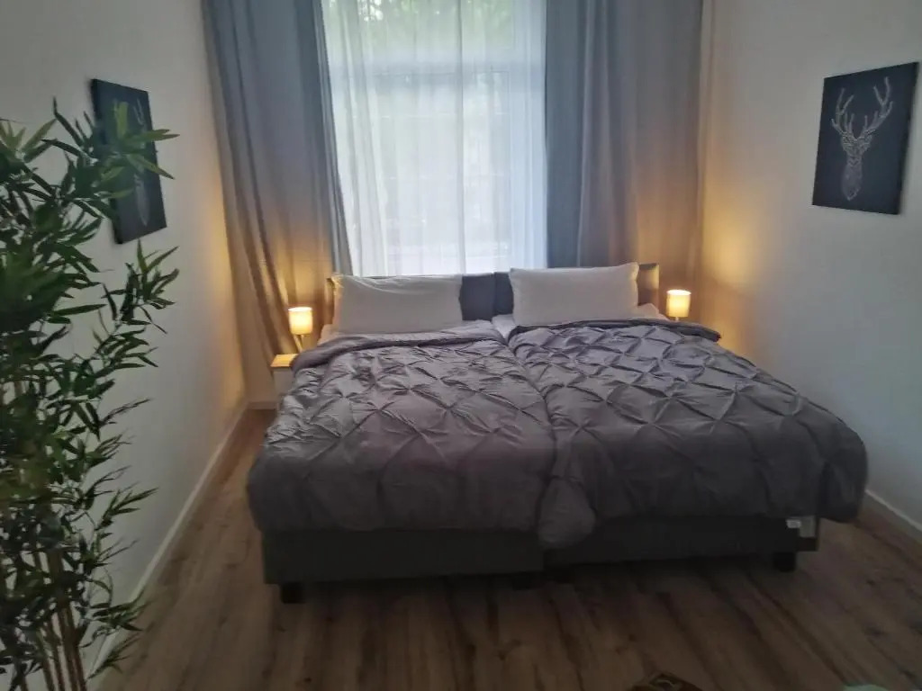 Kölsche Wohnung 2C