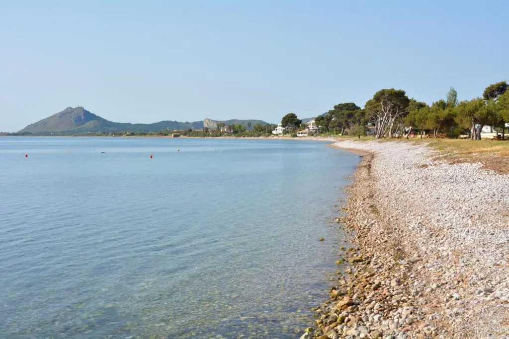 Cozy Apartment with terrace in Port Alcudia