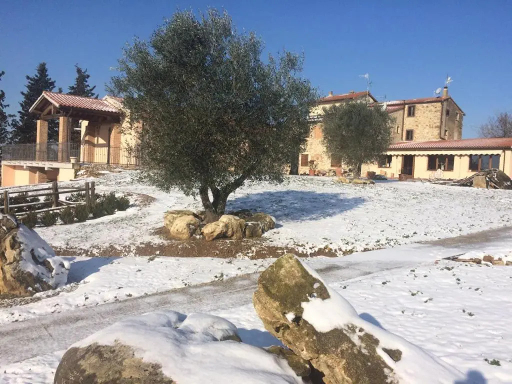 Agriturismo Diaccialone