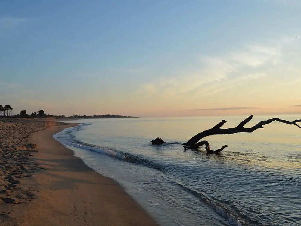 Village Del Mar