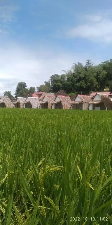 BAMBOO Shack & BAMBOO Cabin