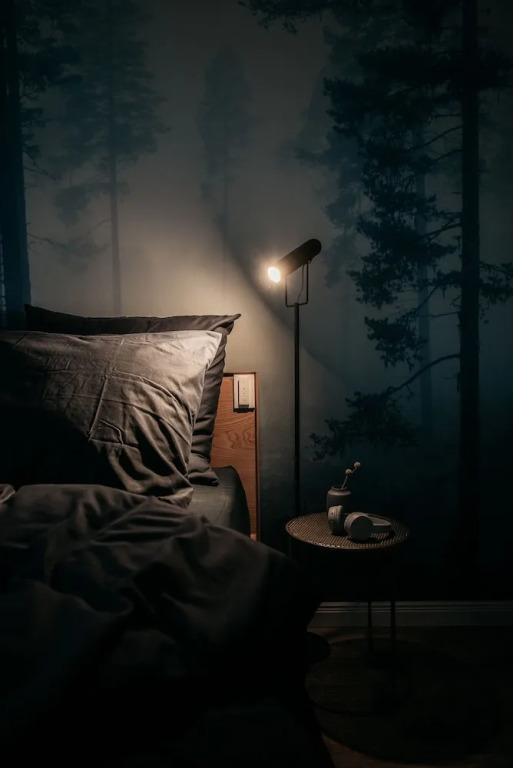 URBN Dreams - Misty Forest