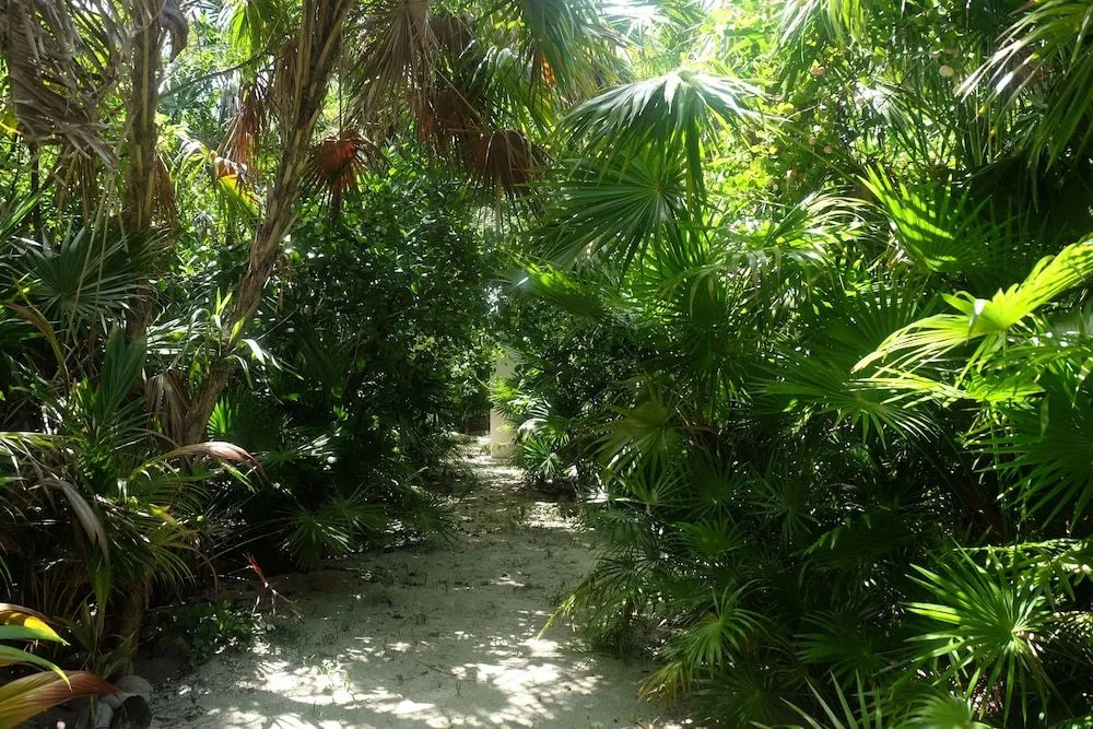 Jungle Cocoon Boutique Hotel
