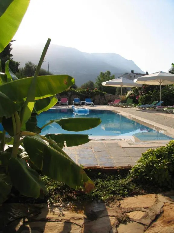 Pasha Suites