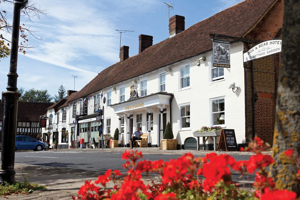 The Dog & Bear Hotel