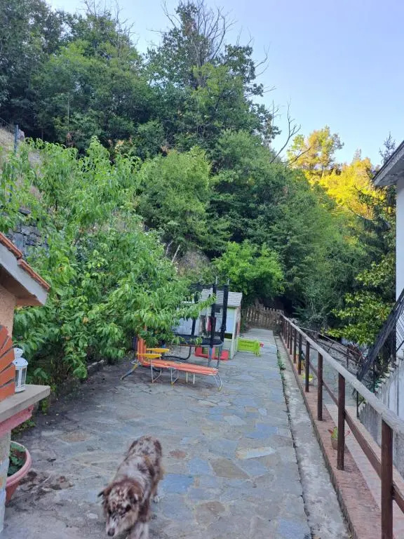 The Giaggiolo's House