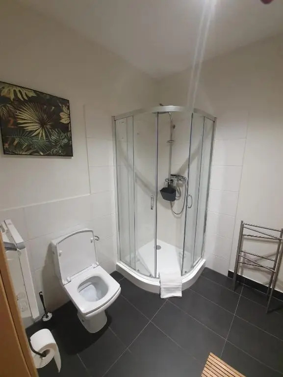 Apartament Willa Hrube parter z tarasem i kominkiem