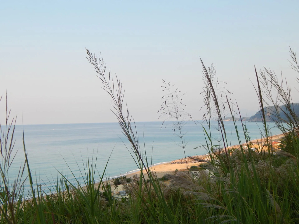 Palmina Mare