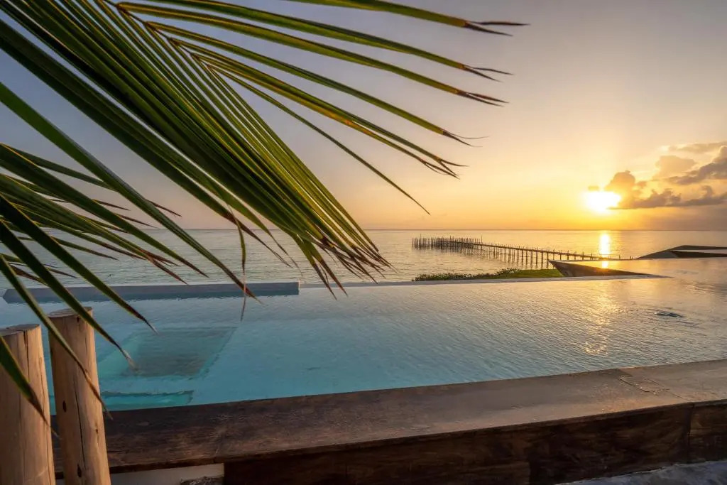 Bamboo Zanzibar