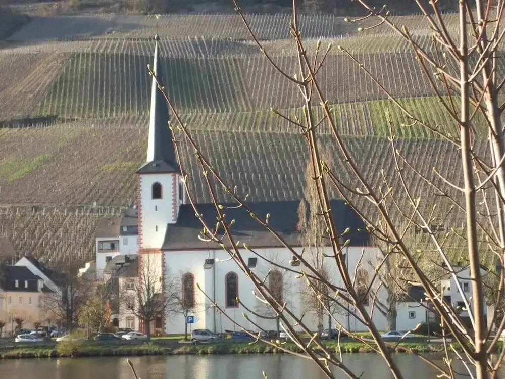 in Landhuisstijl met Uitzicht op de Moezel