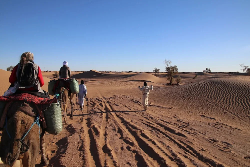 Nomadic Life Camp