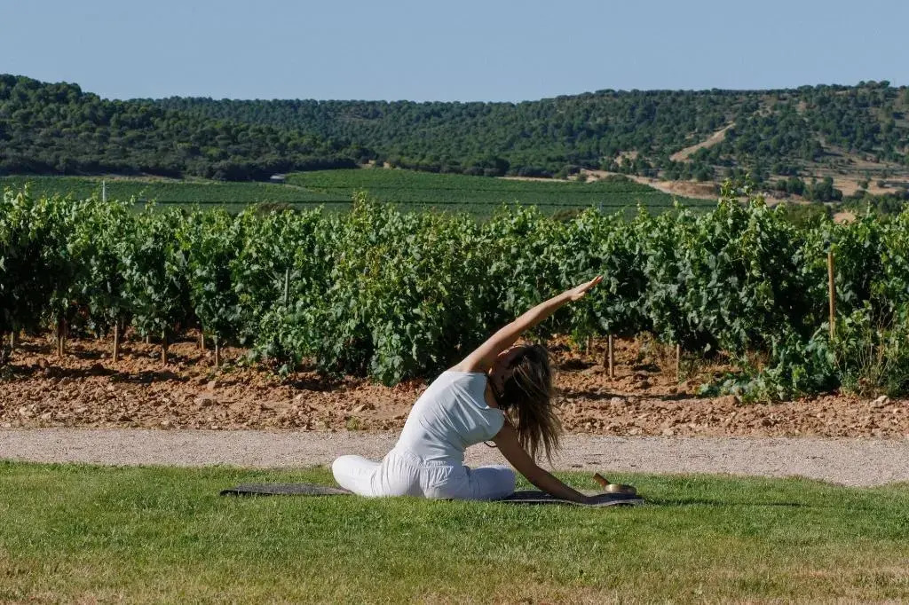 Abadia Retuerta LeDomaine