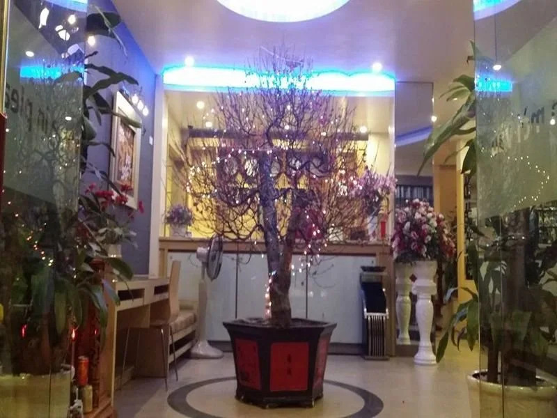 Mai Villa Hotel 2 - Tran Duy Hung