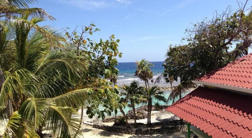 Reef House Resort