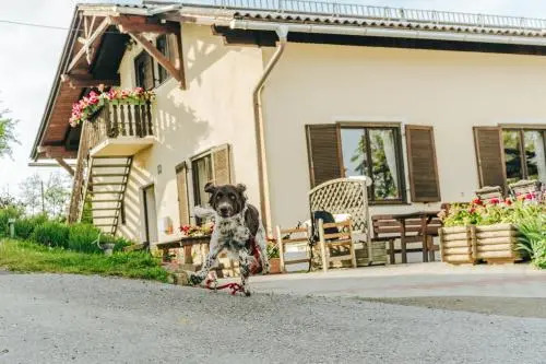 Gästezimmer & Buschenschank mit Weingut Hack-Gebell