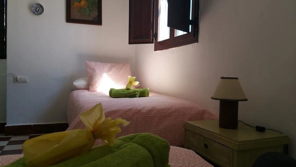Deluxe Apartment Doña Elvira