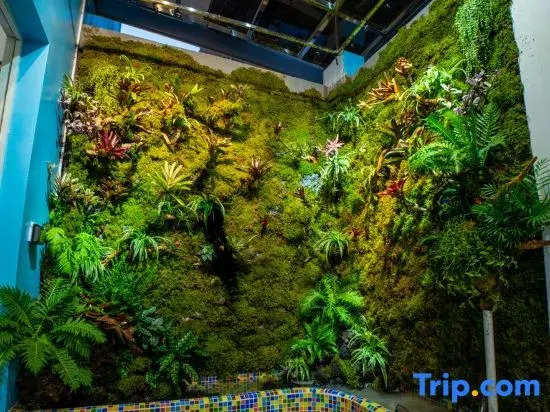 Zhaoqing Provence de Printemps Homestay