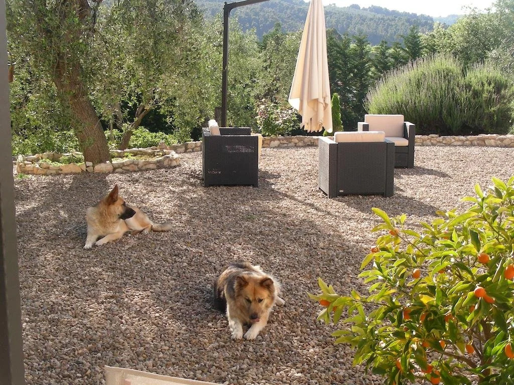 poggio di luna
