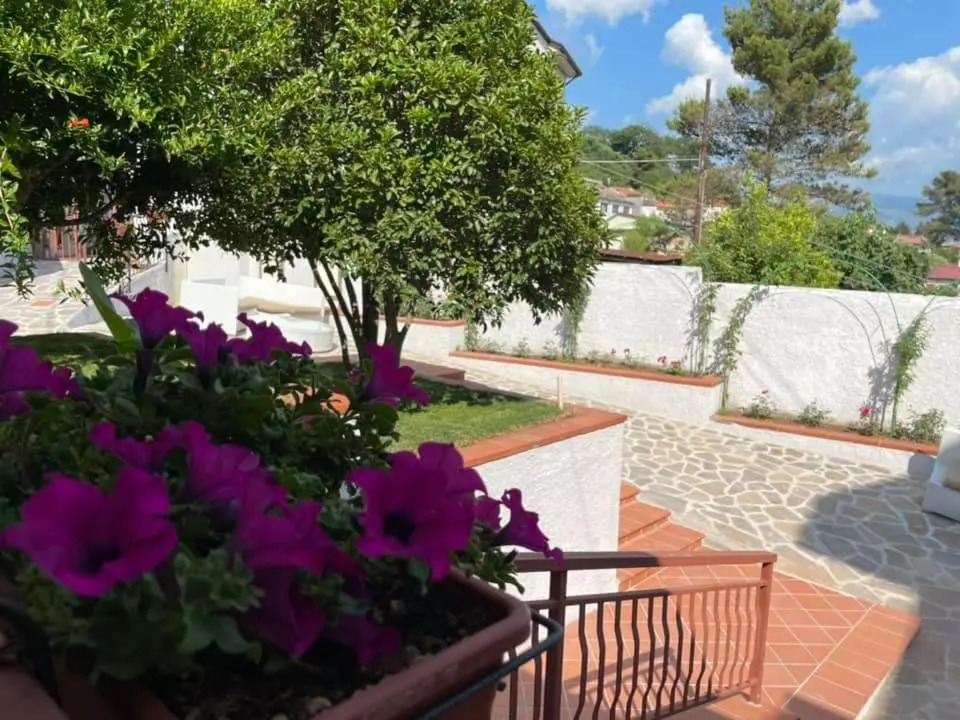 Hotel PINO LORICATO