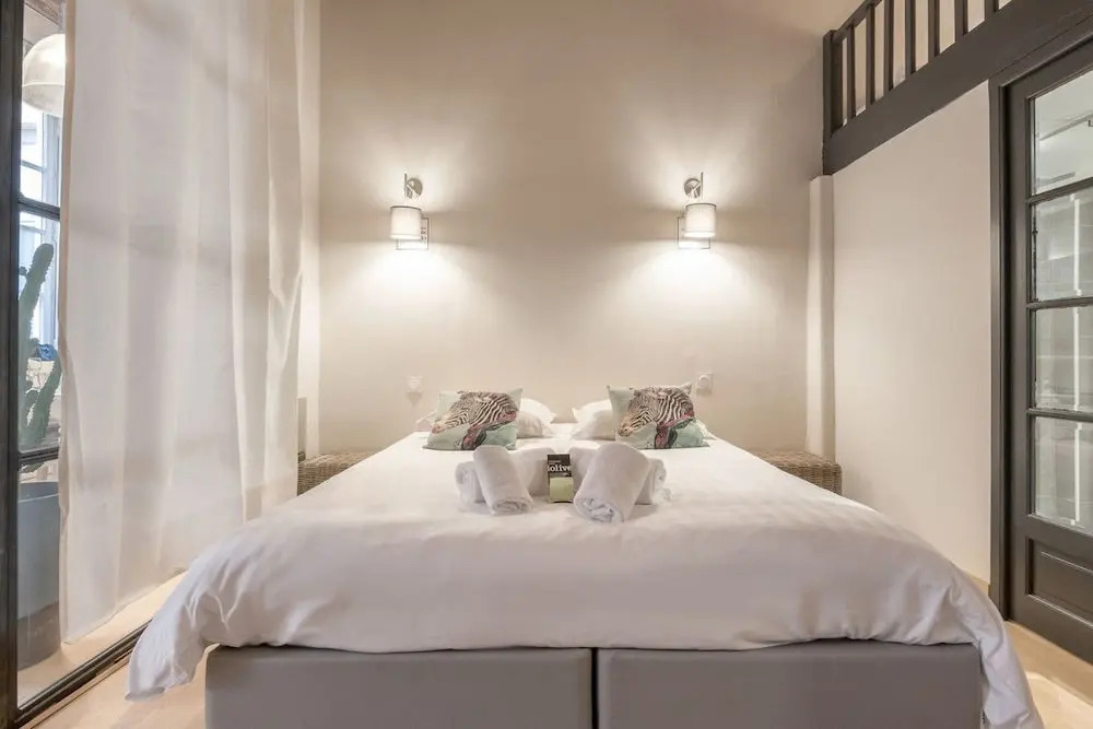 Very Comfortable Loft in Croix-rousse