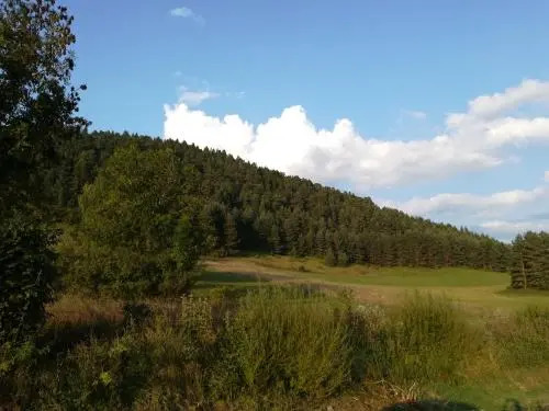 Villa Natali