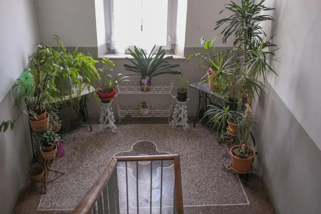 La finestra sul mare B&B