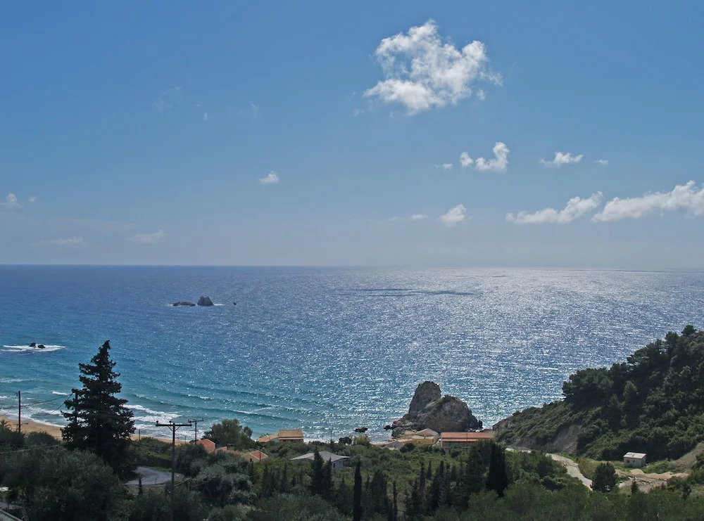 Άρκτος ΟΕ