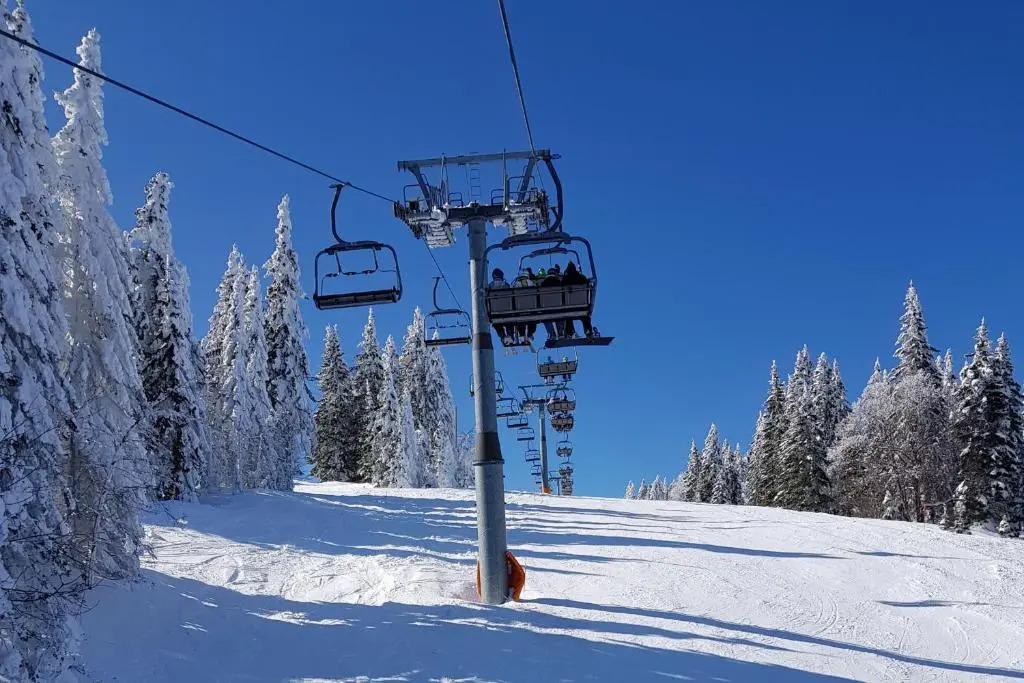 Mountain Chalet Podgorje /w Private Pool - Happy Rentals