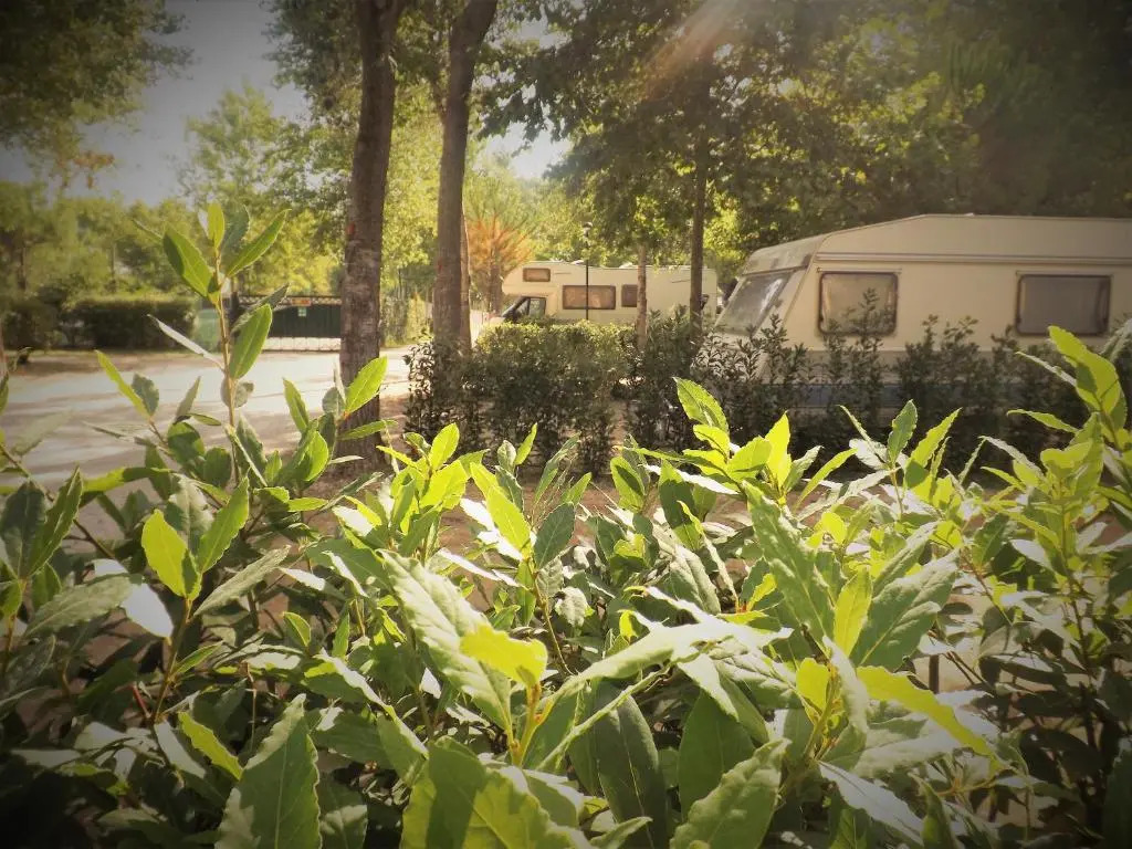 Bosco Verde Camping