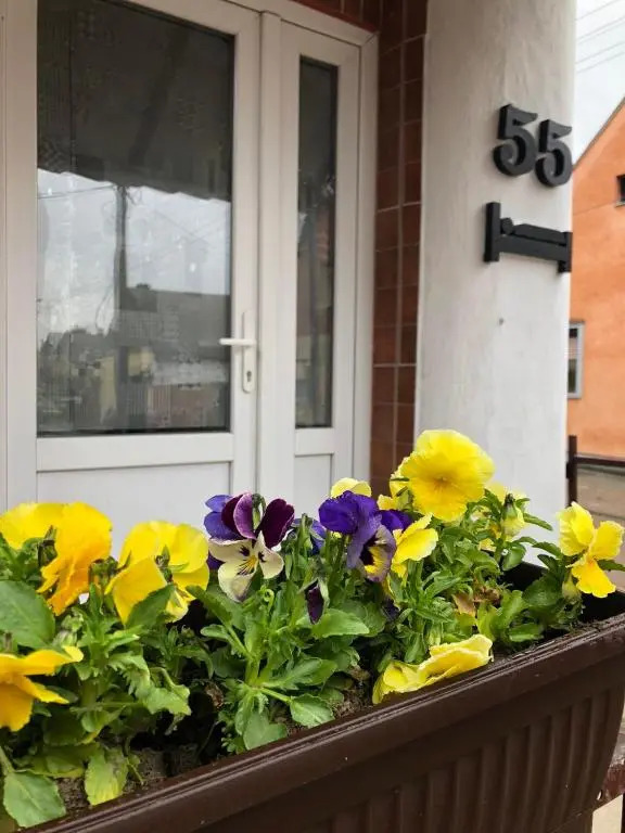 KRIN apartman