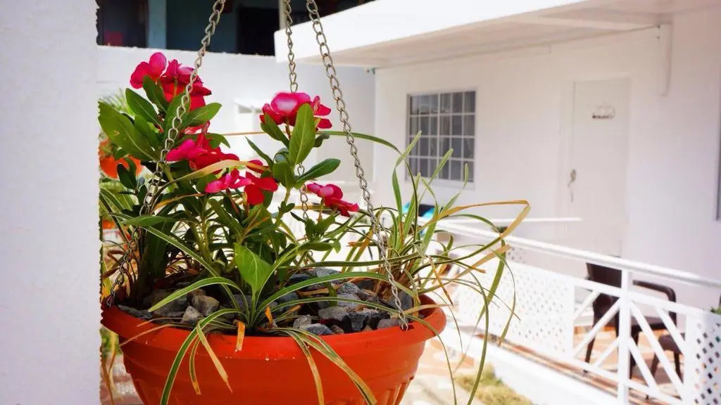 Apartamentos Chalet del Mar
