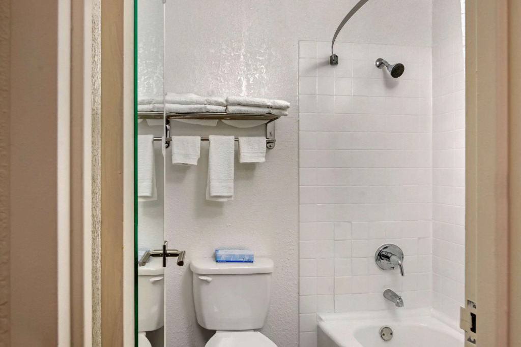 Quality Inn & Suites Ruther Glen