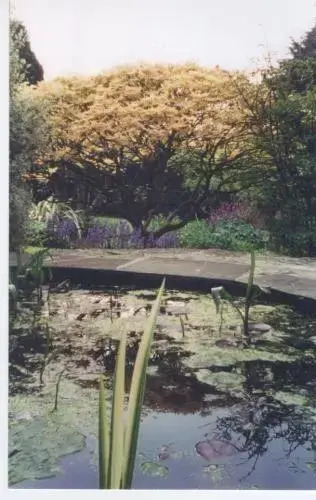 Downs Edge