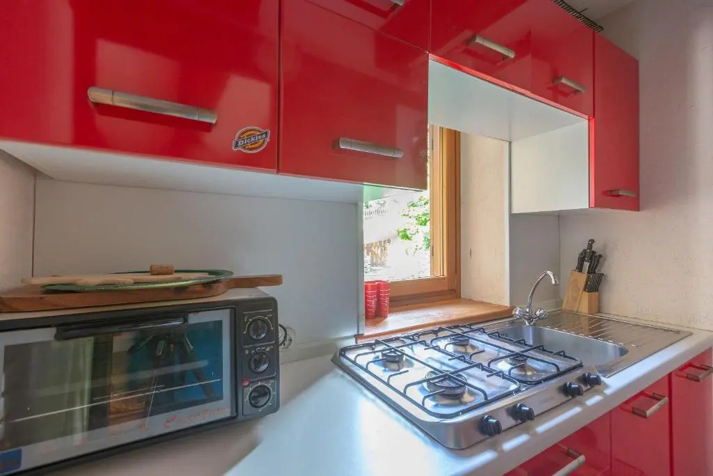 ALTIDO Big Flat for 8 with Backyard and Parking in Courmayeur