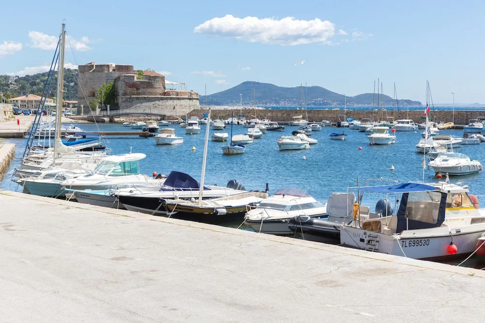 Appart Les Palmiers T3 3 Terrasse Dans Les Pins