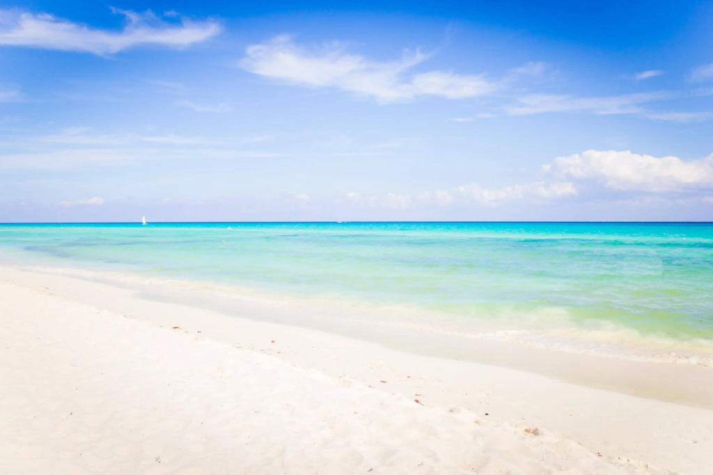 The Reef Playacar Beach Resort & Spa-Optional All Inclusive