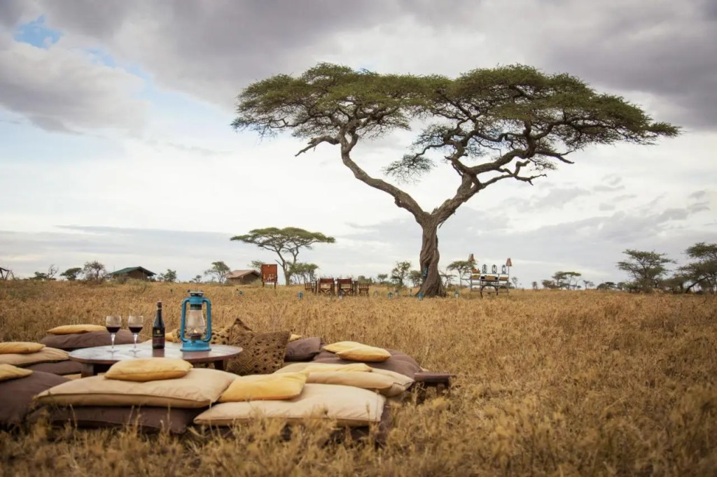 Pumzika Luxury Safari Camp - East Africa Camps