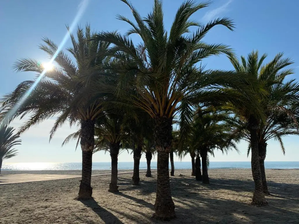 Alicante (Santa Pola), Vue mer & Tabarca, 4 personnes