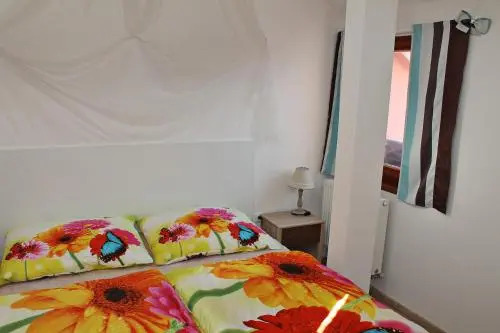 Attic with parking Center Č.B.