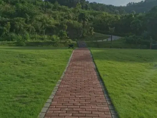 Heyuan Lvxuan Ningshu